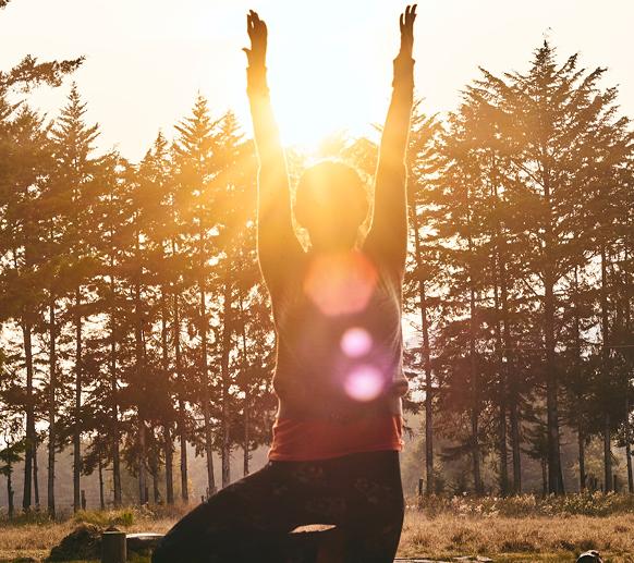 לוקיישן מנצח